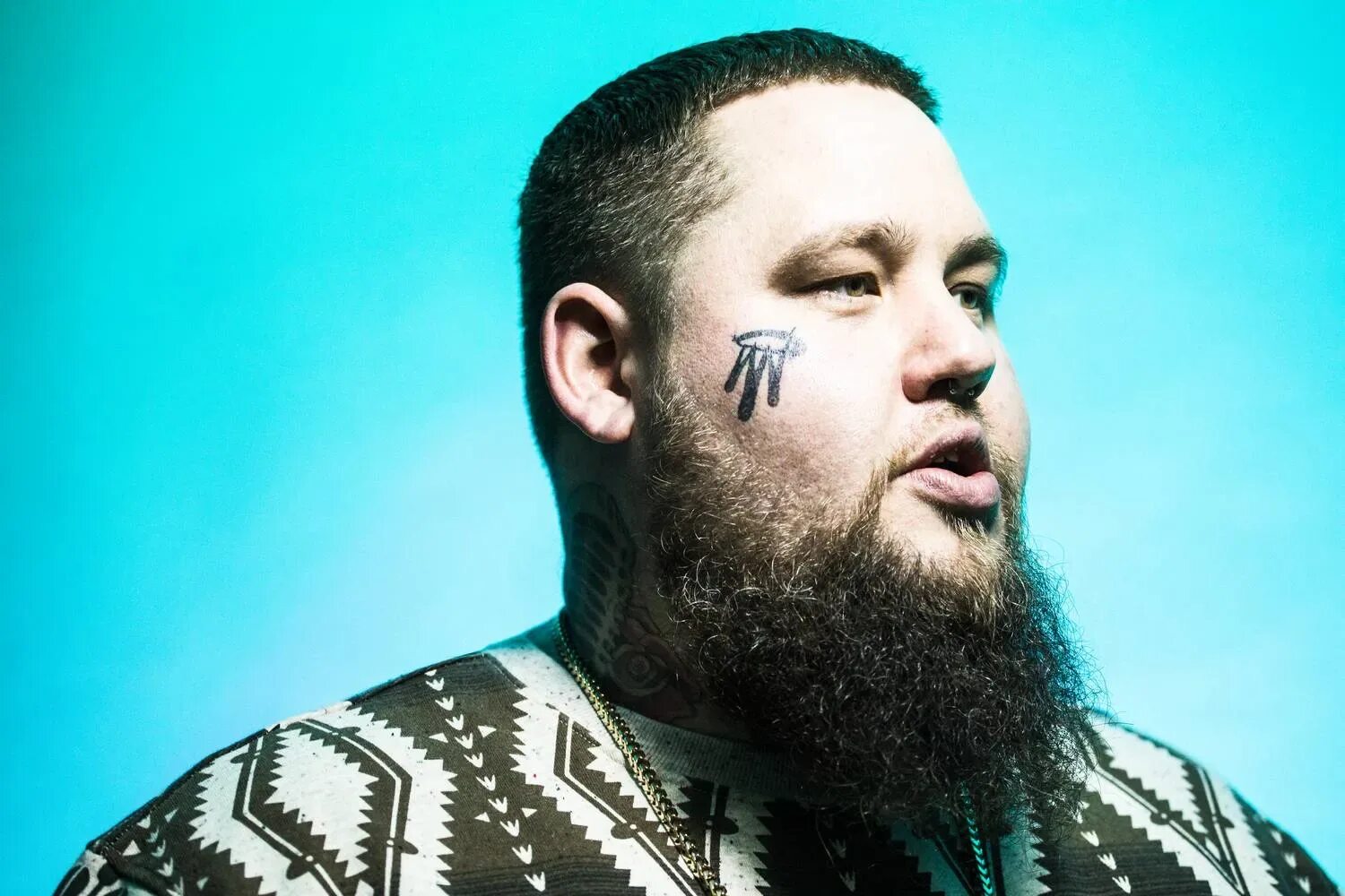 Певец Rag'n'Bone man. Reg n Bone man. Rag bone man слушать