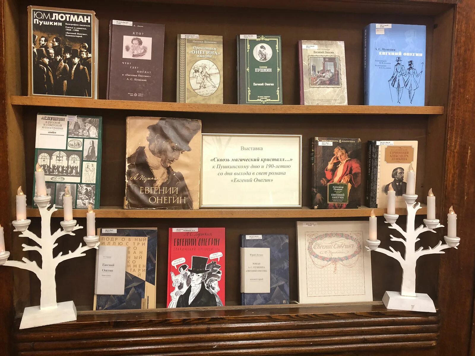 пушкин выставка в библиотеке.