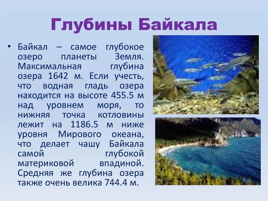 Максимальная глубина озера в метрах. Озеро Байкал сообщение 8 класс. Озеро Байкал рассказ. Рассказ о Байкале. Озеро Байкал презентация.