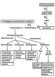 Нпвс простагландины