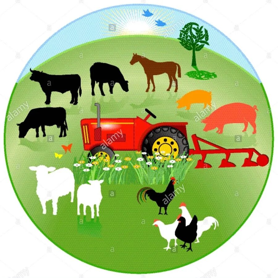 Иконки сельскохозяйственных животных. Корова иконка. Иконки животноводство сельское хозяйство. Символы сельского хозяйства без фона. Сельское хозяйство вектор.