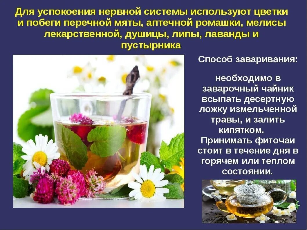 Как укрепить нервную систему и психику. Для успокоения нервной системы. что используют для успокоения нервной системы. к успокаивающие нервную систему. занятия успокаивающие нервную систему.