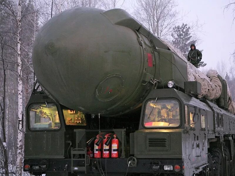 Полет тополя м