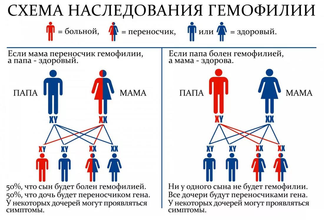 Укажите мужчину гемофилии. Схема наследственности гемофилии. тип наследования симптомы гемофилия. гемофилия наследуется по типу. схема наследования гемофилии у человека.