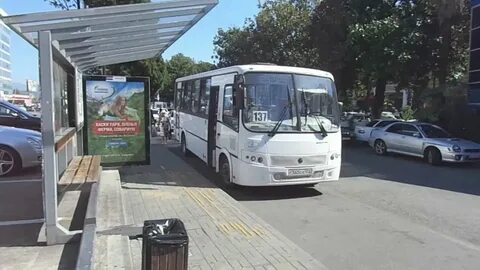 Автобус молдовка адлер