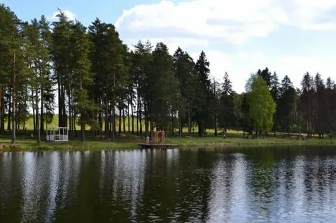 Ликино в одинцовском районе