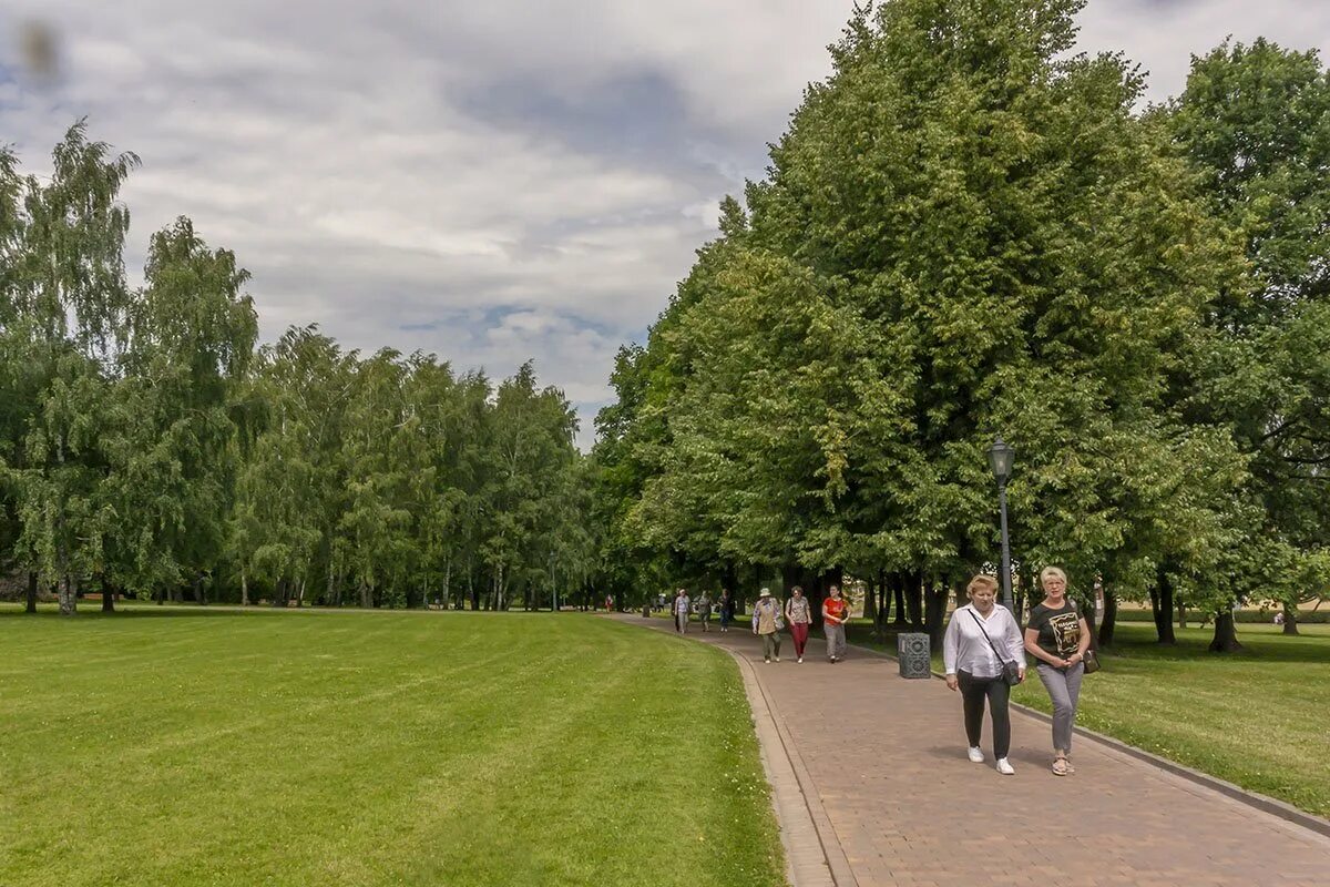 Озеленение парка. Прогулки в парках. Можно ли выходить в парки. Парк дружбы москва детская площадка. Прогулка по парку.