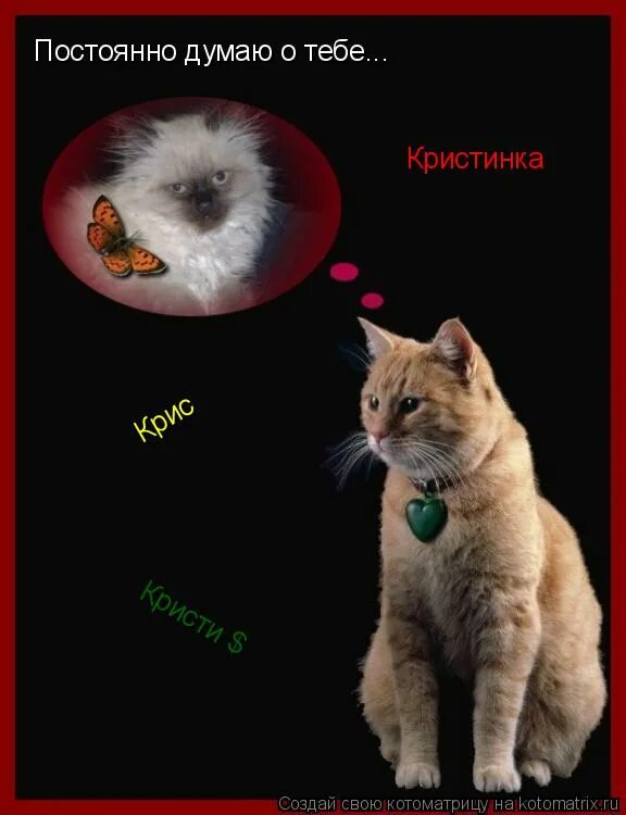 Всегда думаю о тебе. Все время думаю о бывшей. А я думаю о ней о ней. Я думаю о тебе мужчине. Смешные высказывания из мультфильмов.