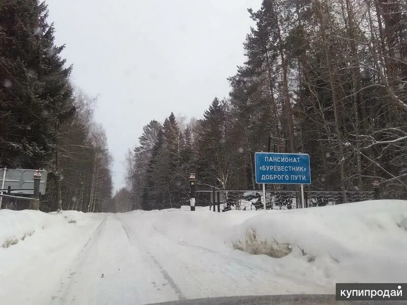 Погода в буревестнике городецкого. Поселок Буревестник Горьковское море. Поселок пансионат Буревестник Нижегородская область. Посёлок Буревестник Нижегородская область Городецкий район. Буревестник база отдыха Нижегородская область.