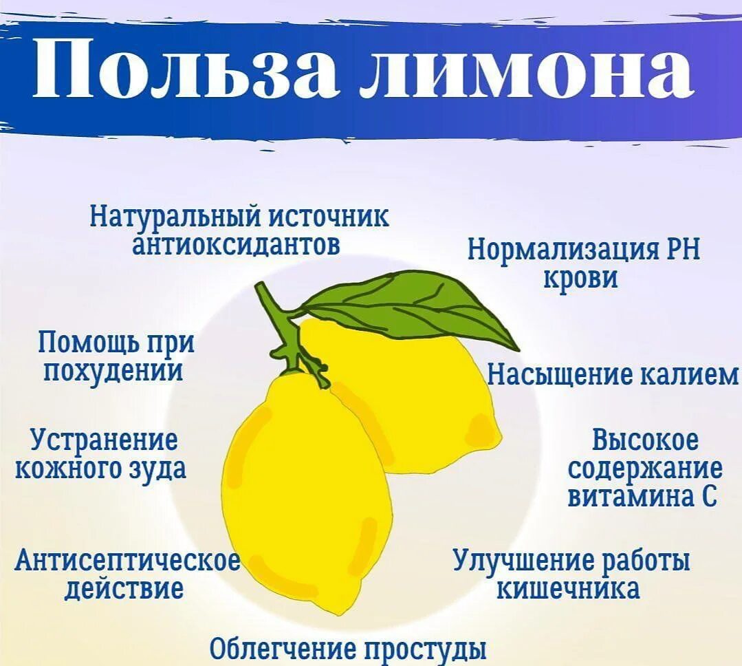 Почему лимон полезен. Чем полезен лимон. Полезные свойства лимона. Польза лимона. Чем полезен лимон.