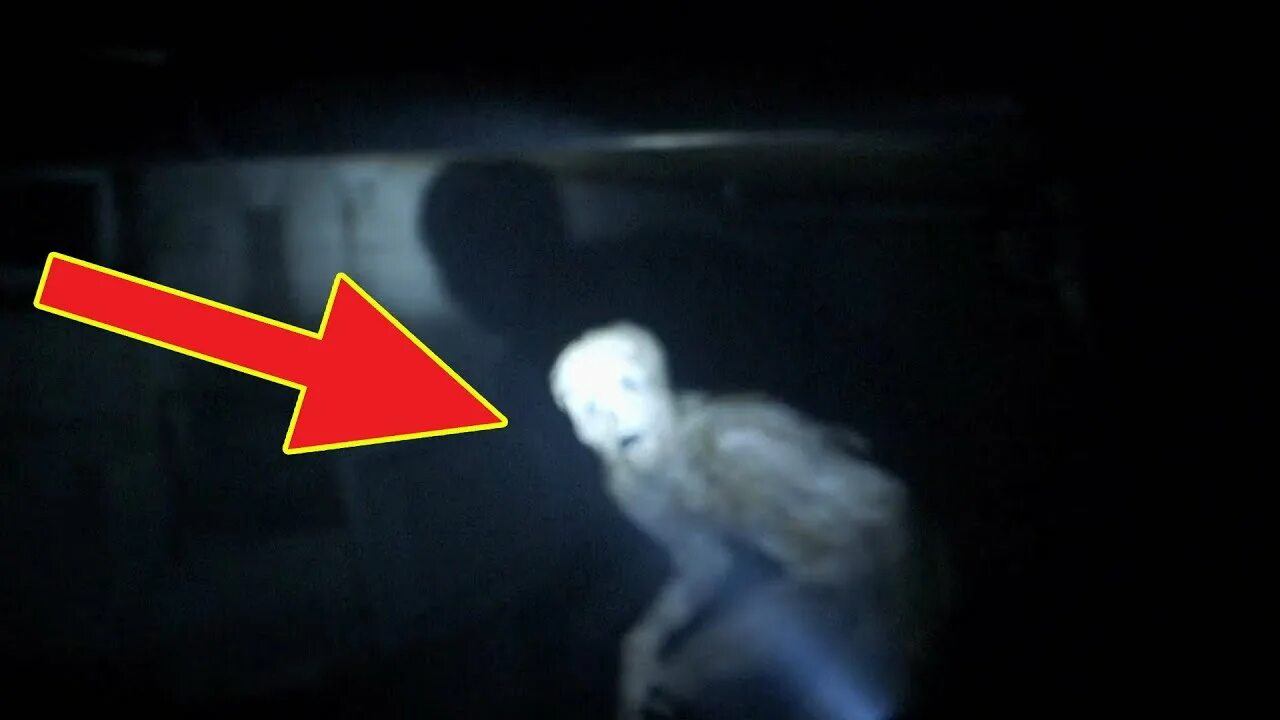Странное загадочное существо - YouTube