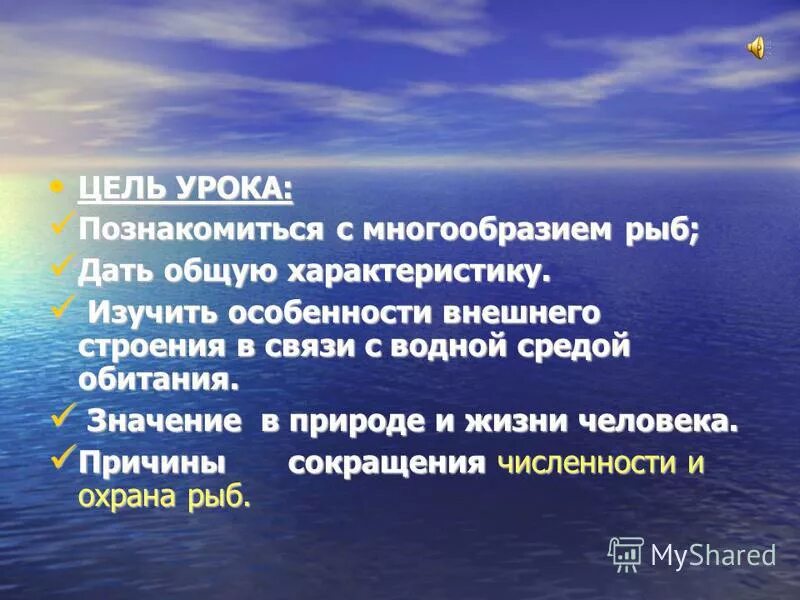 общая характеристика позвоночных класс рыбы. класс рыбы общая характеристика. тема урока общая характеристика рыб. общая характеристика хрящевых. общая характеристика рыб.