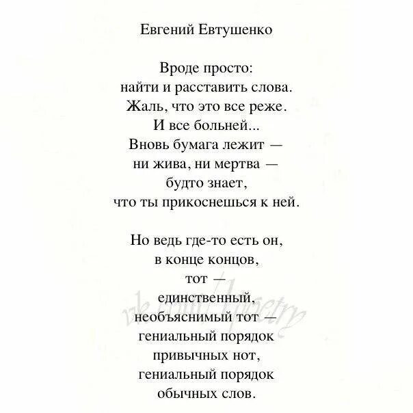 Евтушенко стихи. Стихотворение Евтушенко. Мой пес евтушенко стихотворение