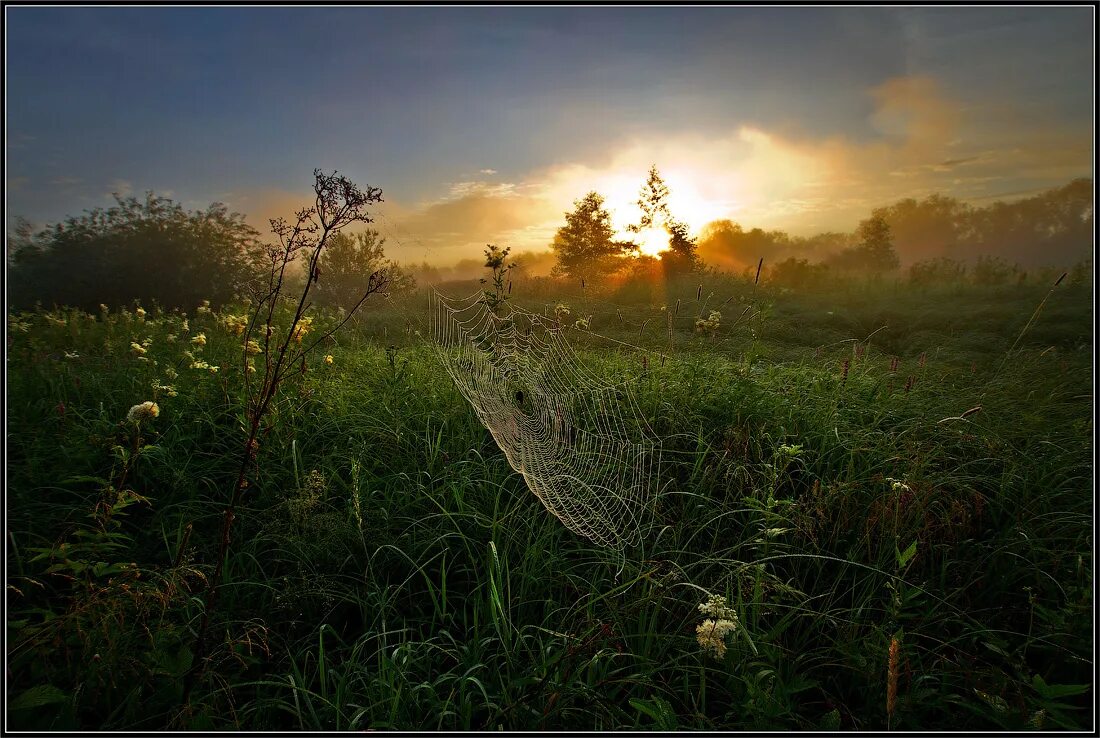 ночка луговая сенокосная пора. сенокос туман над рекой. ой. природа речка. деревня в тумане ночью.