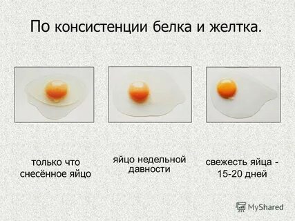 Что делать с желтками после использования белков