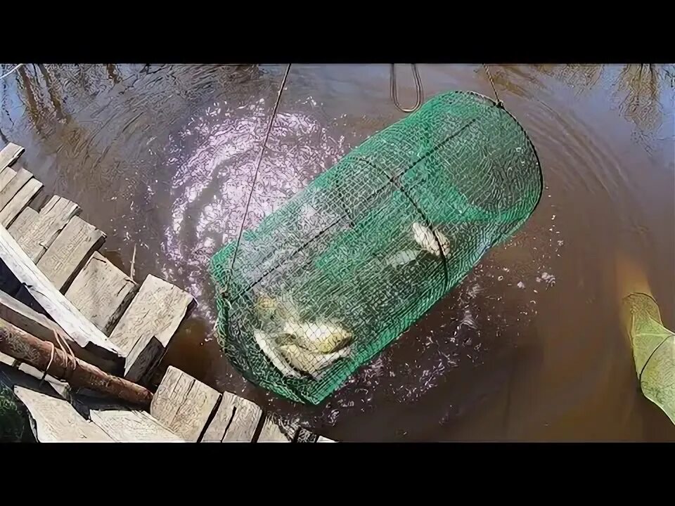 Финская ловушка катиска. Ловля на вентерь. Ловля на вершу. Мордушка ловушка для рыбы. Приманка на карася в вершу.