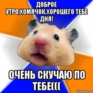 Хомяк добро