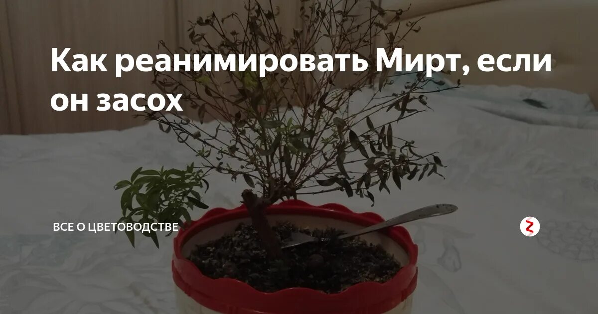 Как реанимировать под