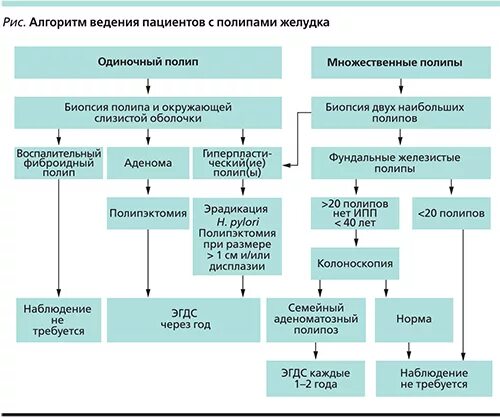 Полип операция сколько длится по времени. Полип фундальный желез желудка. Полипы в желудочно кишечном тракте причина. Алгоритм лечения полипов. Гиперпластический полип желудка.