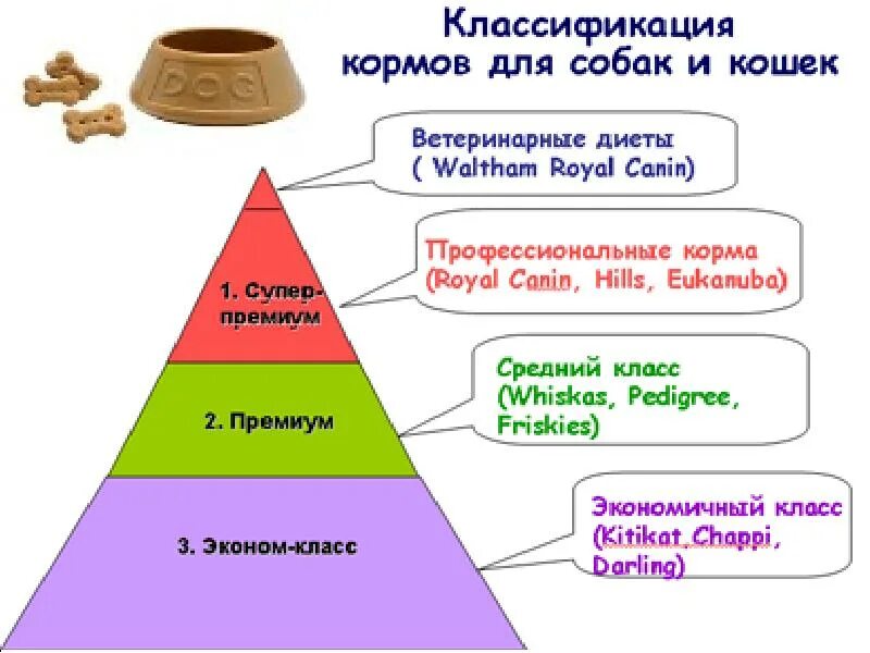 Классы кормов для кошек список. Классификация кормов для кошек и собак. корма для собак классификация. классы кормов для собак таблица. градация кормов для собак.