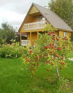 Сколько стоят 6 соток