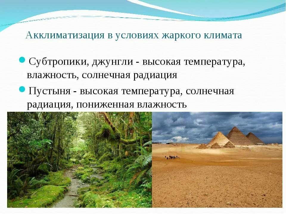 Акклиматизация в условиях тёплого климата. Акклиматизация человека в различных климатических условиях. Акклиматизация в различных природно-климатических условиях. Акклиматизация человека в условиях жаркого климата.