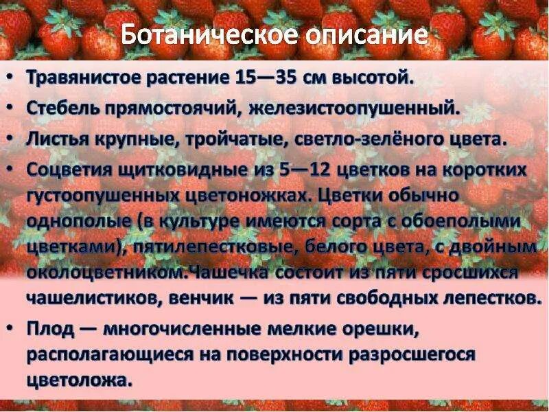 Как узнать клубнику для 3 класса