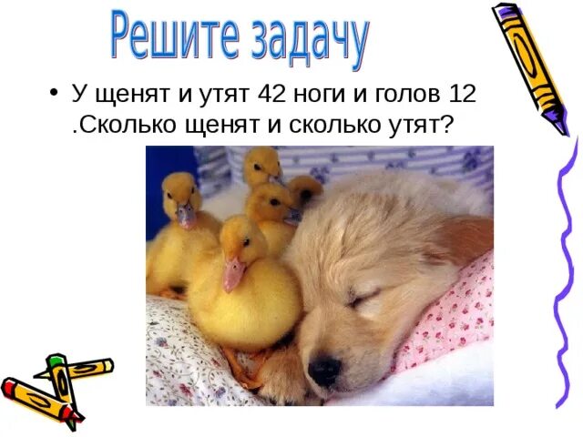 Реши утка 6 класс. Задачи на головы и ноги. щенок и утенок. задачи про головы и ноги 4 класс. как решать задачи на головы и ноги.