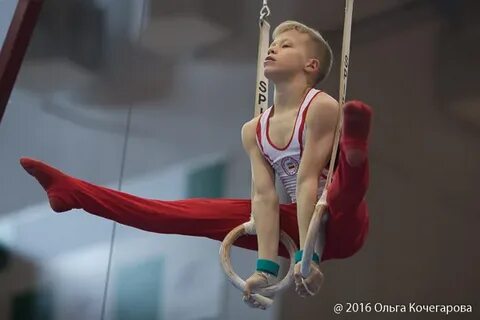 Спортивная гимнастика мальчику 3 года