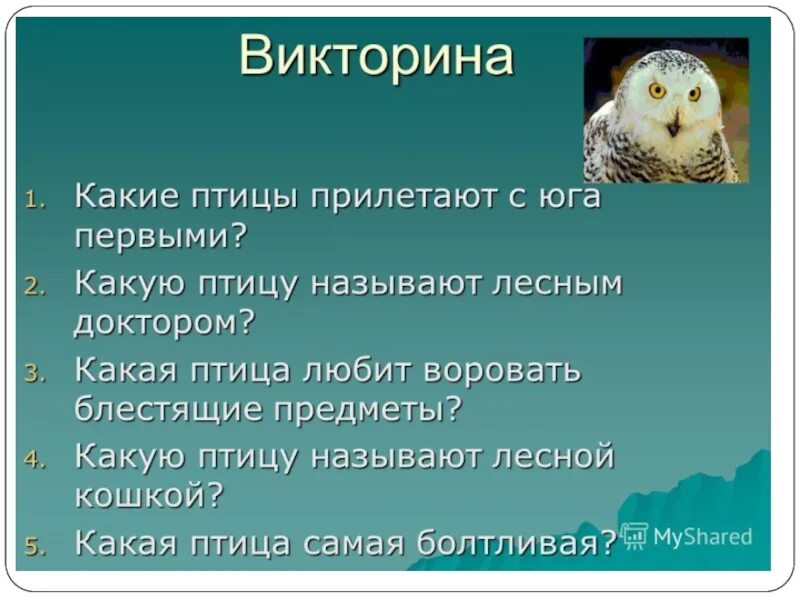 Какую птицу называют