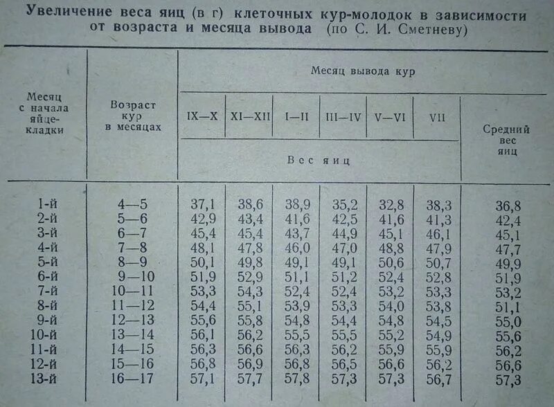 Плотность курицы. Вес кур несушек по возрасту таблица. Вес курицы несушки по возрасту таблица. Средняя масса курицы. 1 курица весит