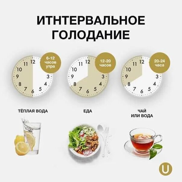 Правила голода. Интервальное голодание 14/10 схема. интервальное голодание 16/8 схема. интервальное голодание 16/8 схема по часам с 8 утра. интервальное голодание 16/8 схема для начинающих.