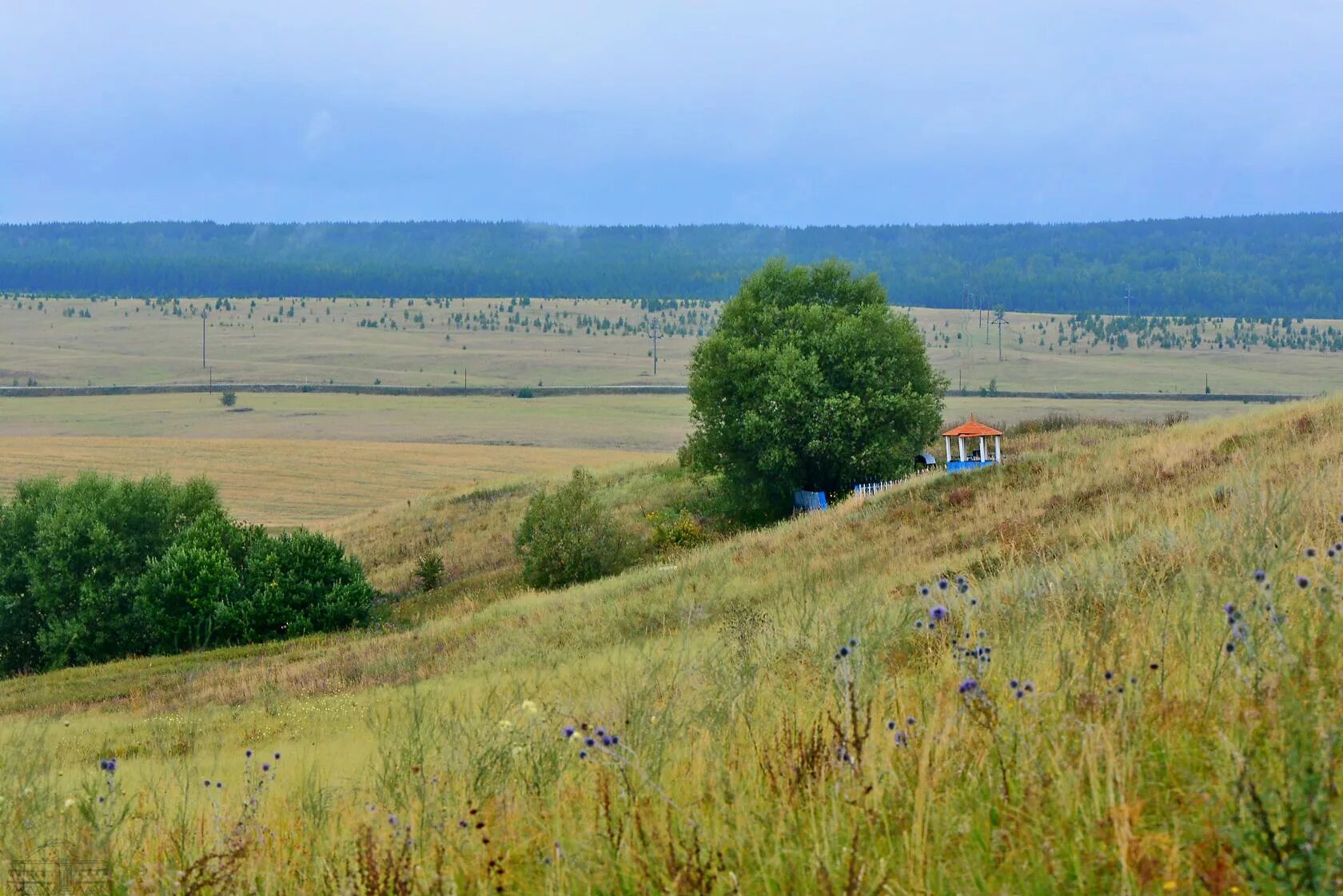 Приволжская лесостепь заповедник. Заповедник Приволжская лесостепь Пенза. Степи Поволжья. Покровская лесостепь.