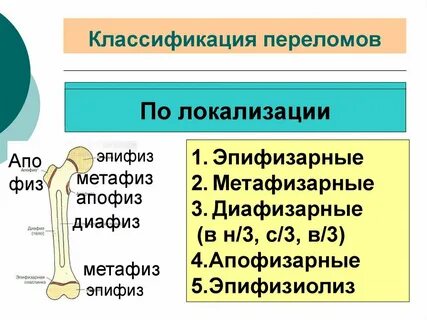 Эпифизиолизы