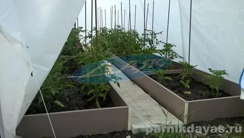 Грядки из подоконников