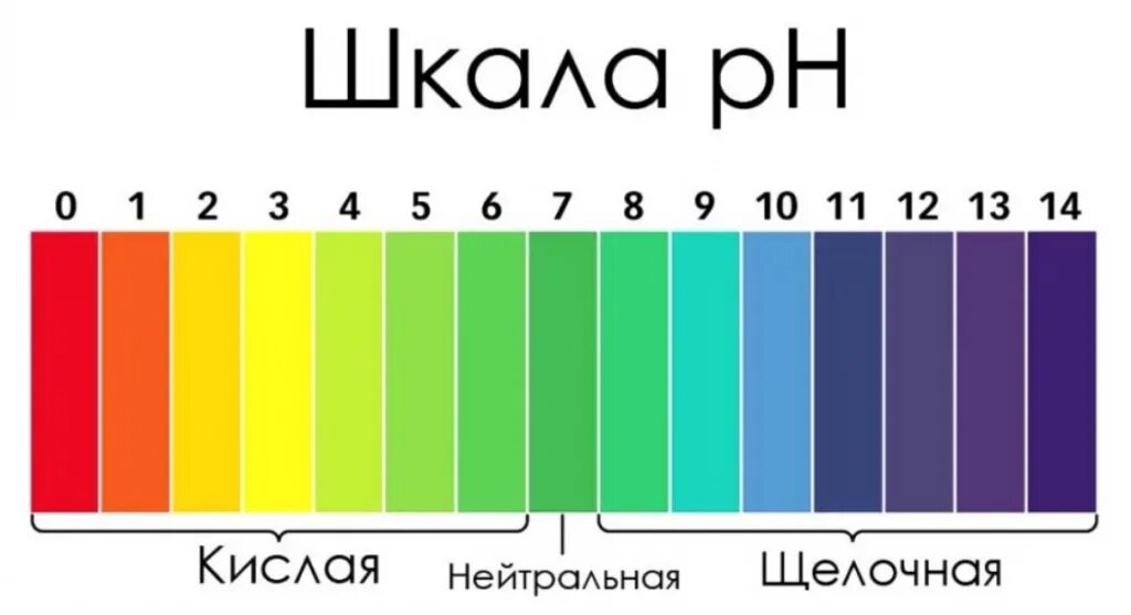 Шкала PH почвы кислотности почвы. Водородный показатель PH воды норма. PH шкала кислотности лакмусовая бумага. Уровень кислотности PH воды.