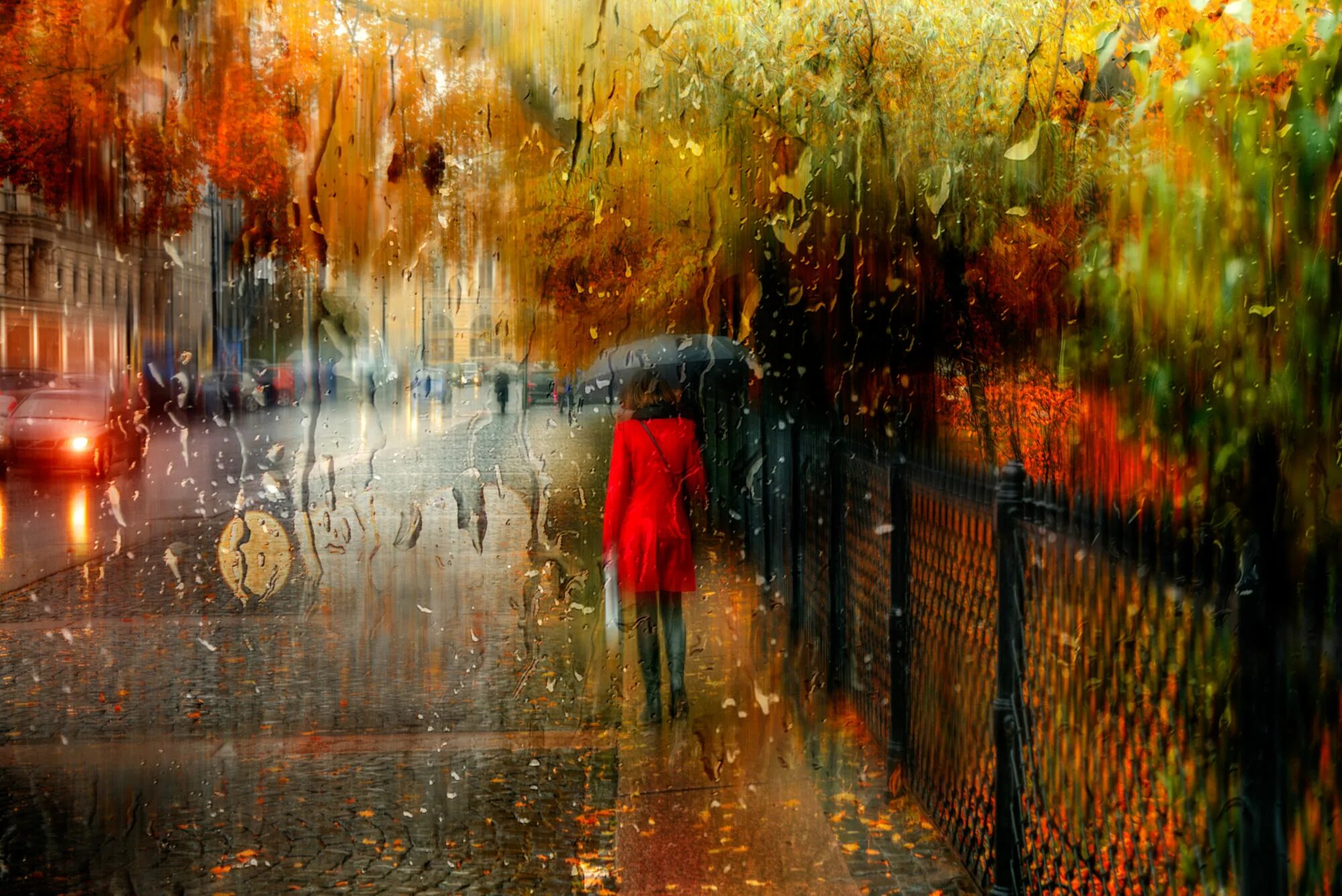 Осенний дождь. Осень дождь. Осень город дождь. Дождливый день. В дождливый день я подходил