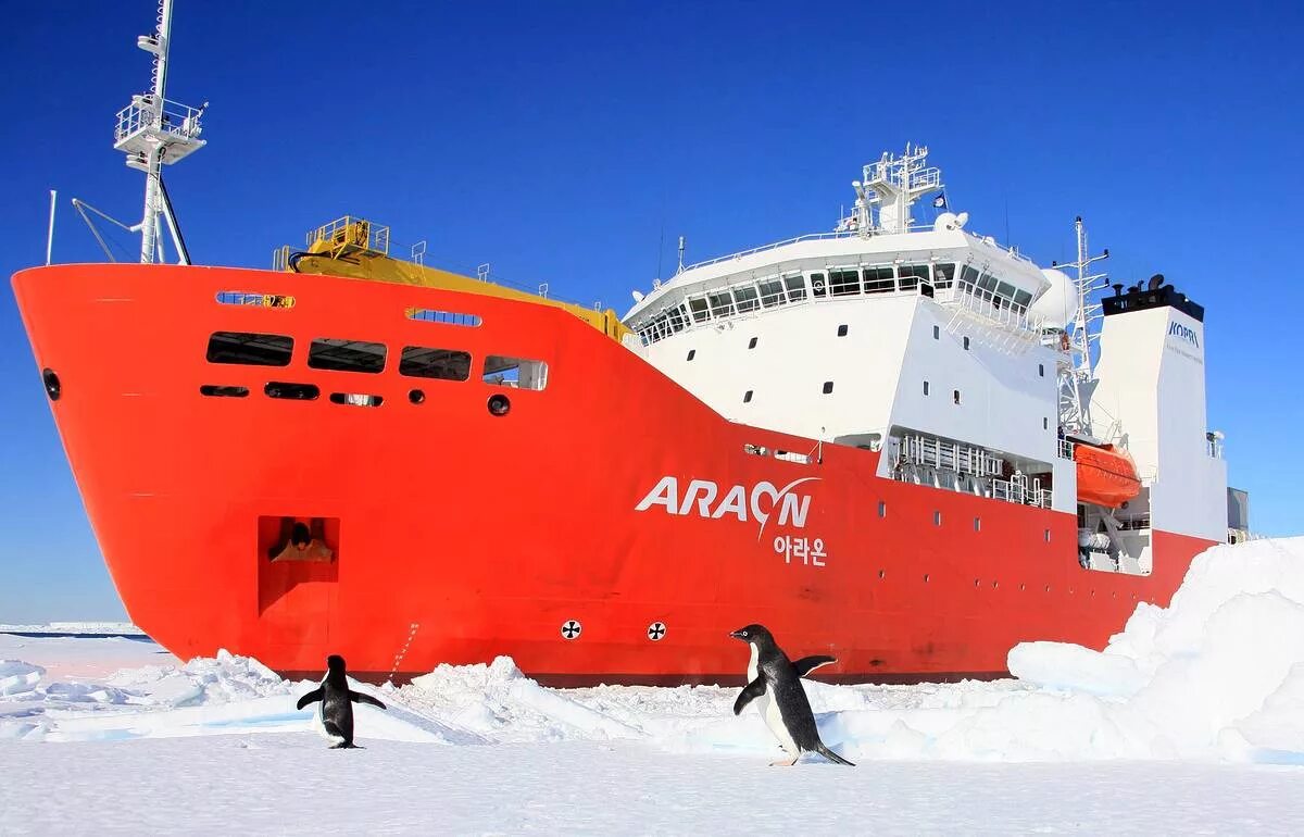 Арктика ледокол, 1972. Ледоколы англии. Ямал корабль ледокол. Ледоколы англии. Ледокол обь проекта aker arc 124.