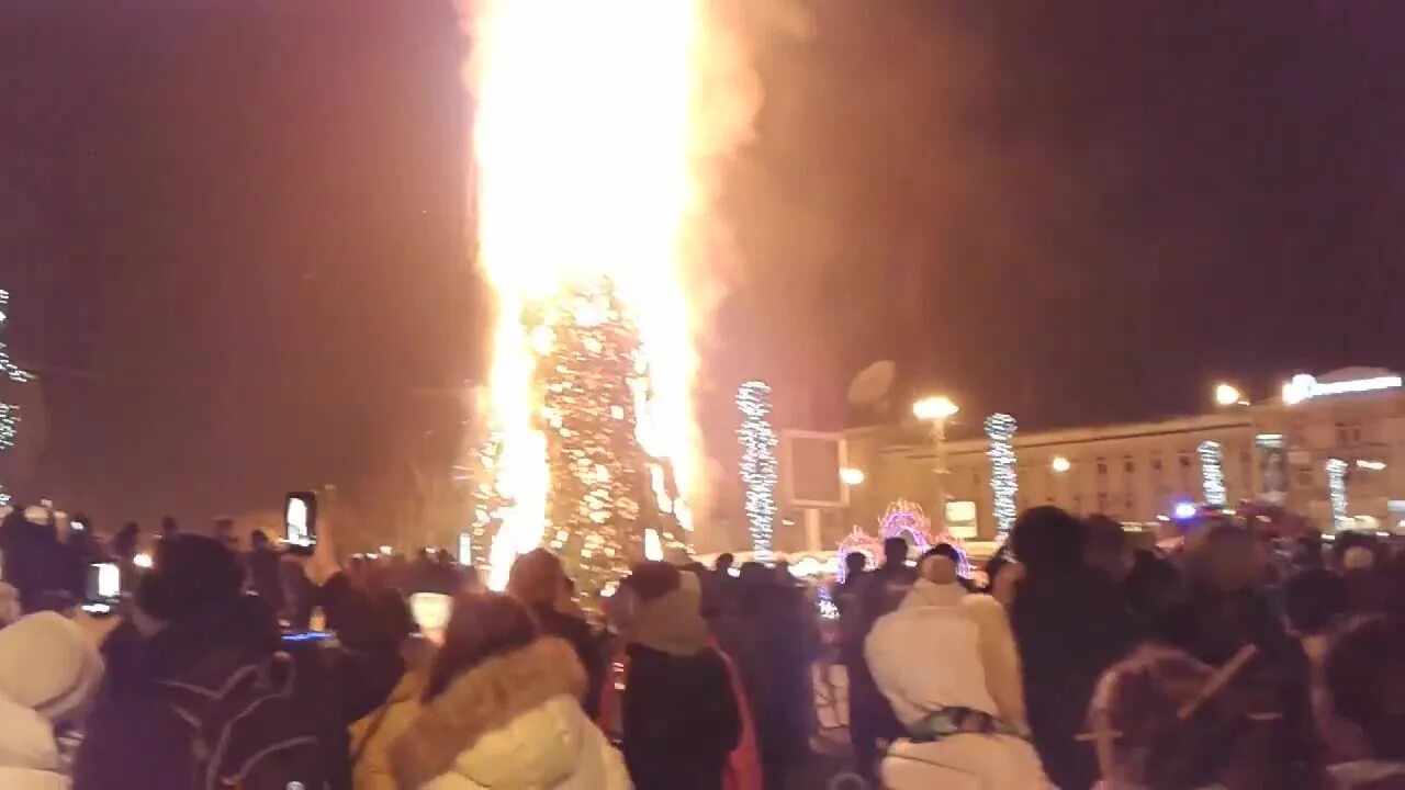 Елочка, гори!. Раз 2 3 елочка гори видео. Маша и медведь мультсериал дед мороз. Елка горячие. Живые обои раз два три ёлочка гори.