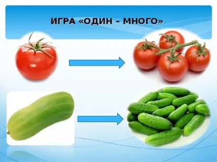 1 много овощи