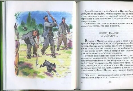Рассказ льва николаевича толстого булька