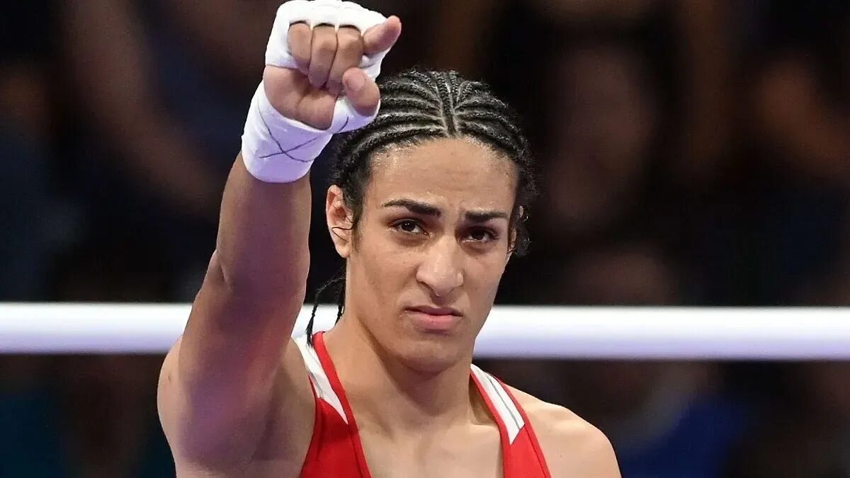 Khelif imane hamori anna luca. Khelif imane hamori anna luca. Khelif imane hamori anna luca. Khelif imane hamori anna luca. Khelif imane hamori anna luca.