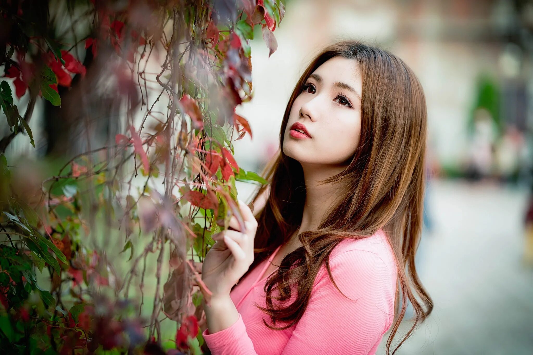 Красивые азиатки на рабочий стол. Азиатские девушки. Красивые азиатки. Где девушка азиатка. Красивые азиатки.