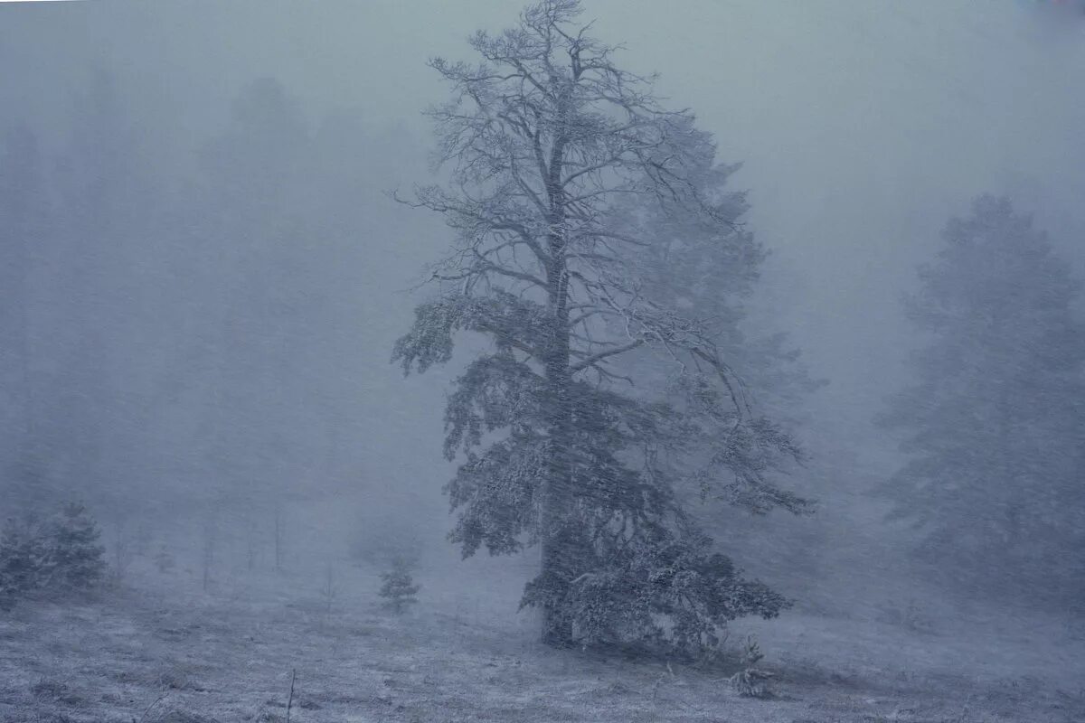 страшная пурга. зима вьюга. первый снег в городе. снег. самара зимние дворы метель.