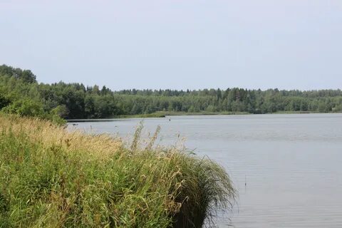 Водохранилище шаховская