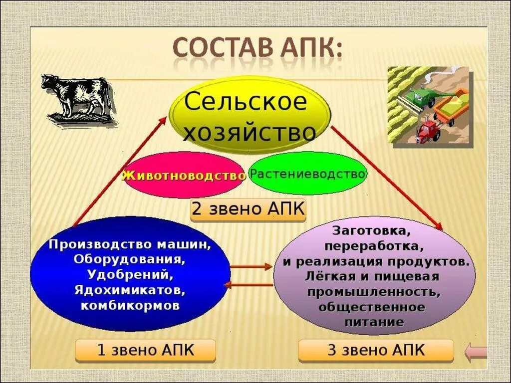 Схема агропромышленный комплекс Растениеводство. Агропромышленный комплекс России АПК 9 класс. Состав АПК сельское хозяйство. Агропромышленный комплекс состав АПК.