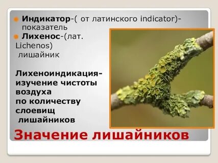 Индикаторы чистоты воздуха