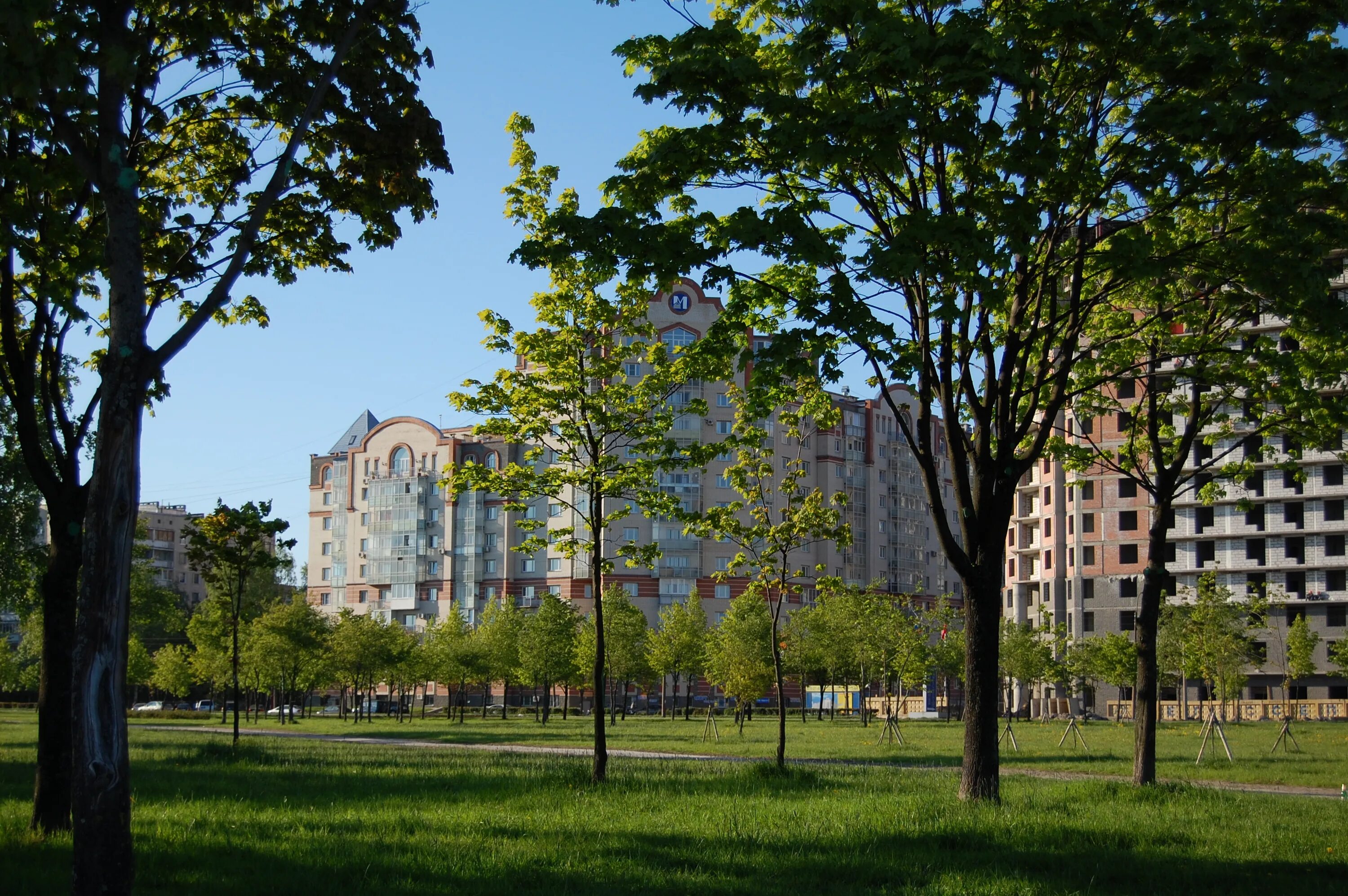 Муринский парк в Санкт-Петербурге. Калининский район СПБ Муринский парк. Парк Калининского района Санкт-Петербурга. Муринский парк на проспекте Луначарского. Зеленые районы спб