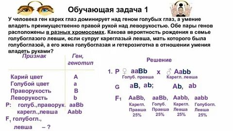 У кареглазых людей голубые глаза
