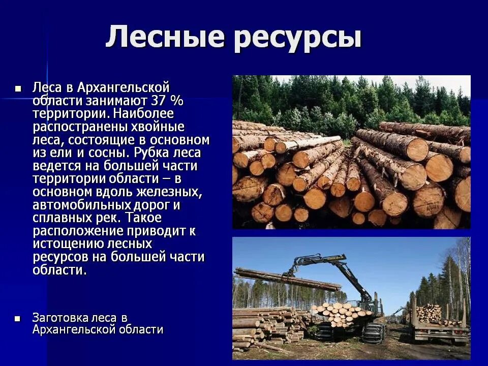 Какие богатства есть в россии. Лесные природные ресурсы. Природные богатства леса. Лесные богатства Архангельской области. Природные богатства Архангельской области.